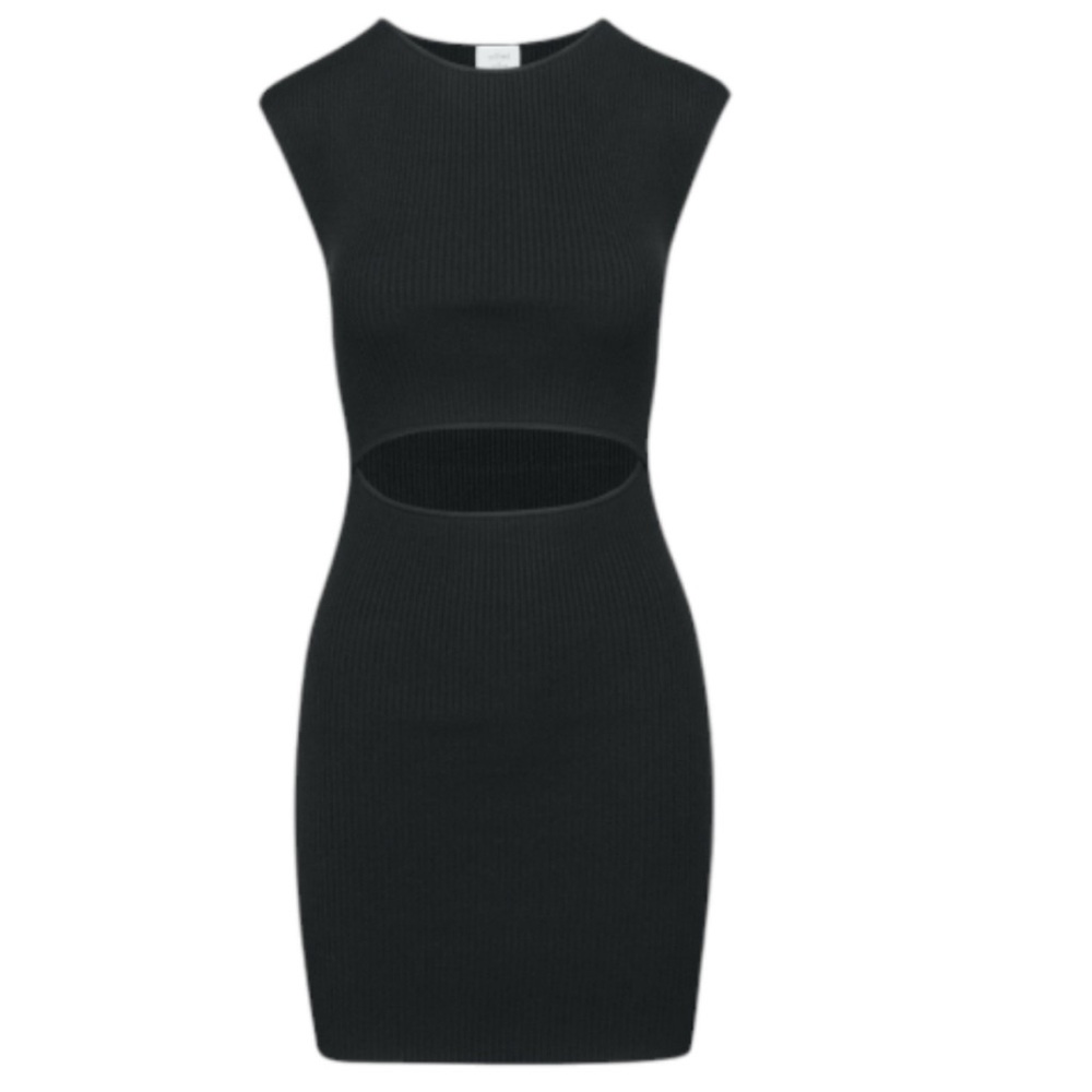 Wilfred cutout knit mini dress S